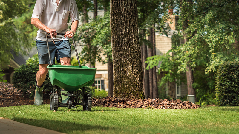 Man with lawn spreader