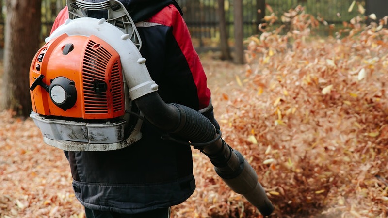 Leaf blower backpack