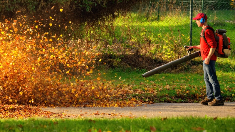 Buying a leaf blower