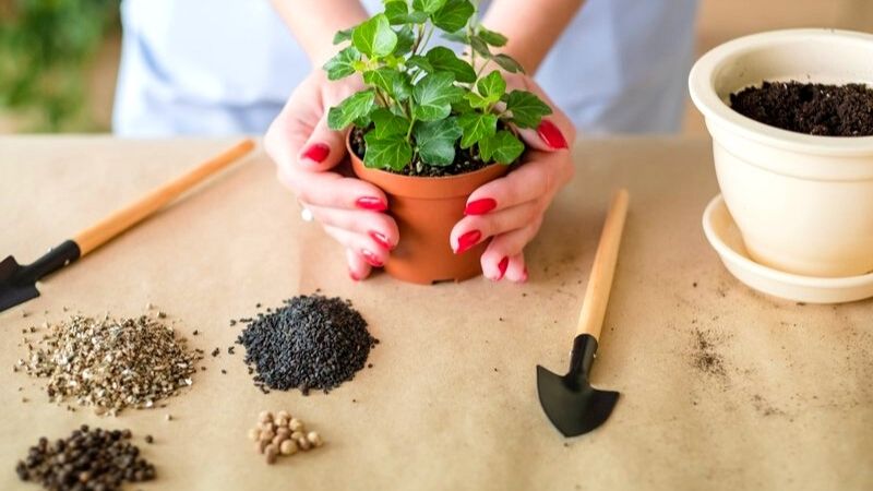 Plant pot and gardening tools