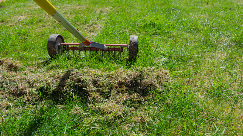 a lawn scarifier