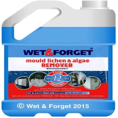 Wet and Forget Patio Cleaner 