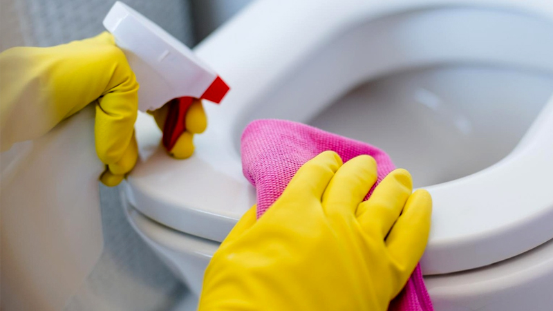 Removing limescale from a toilet