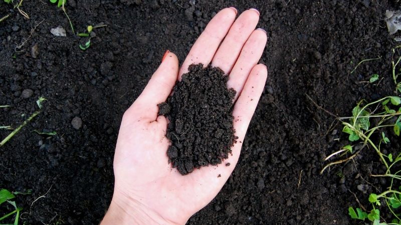 Loam compost