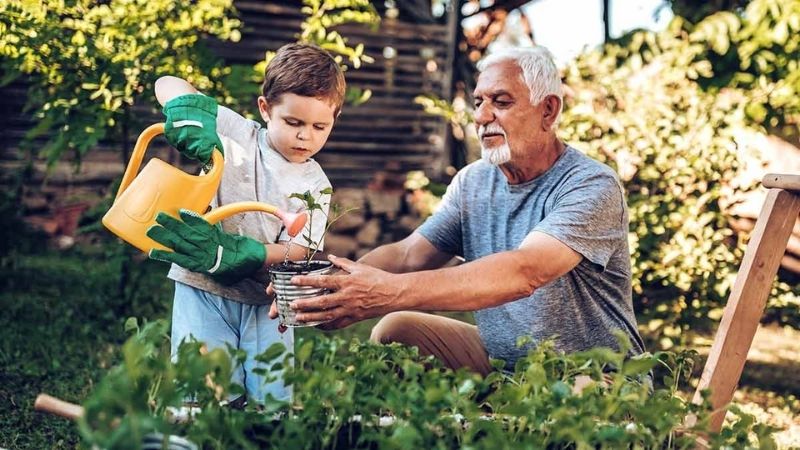 A man and a young boy gardening