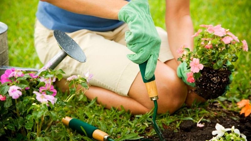 A woman gardening