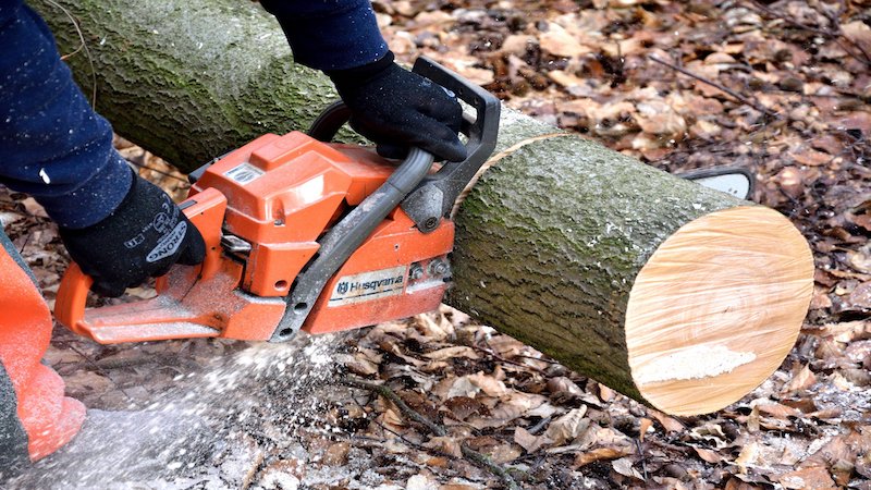 Chainsaw cutting wood