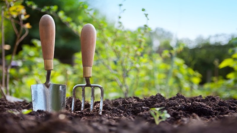 Garden fork in soil