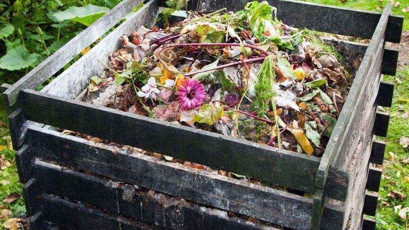 Compost container