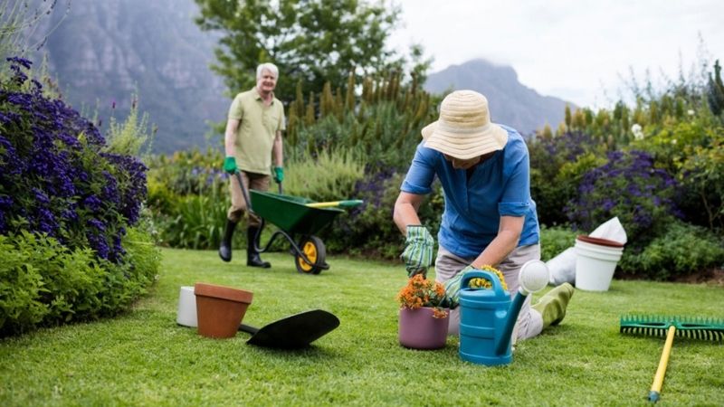 A woman and man gardening