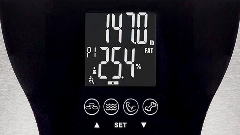 body fat bathroom scales