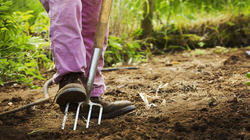 Digging garden fork