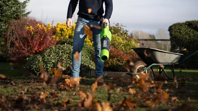 Handheld leaf blower