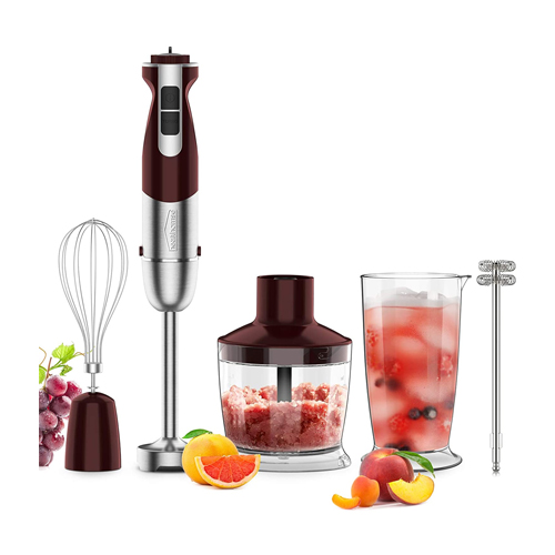 Healthomse Immersion Stick Blender