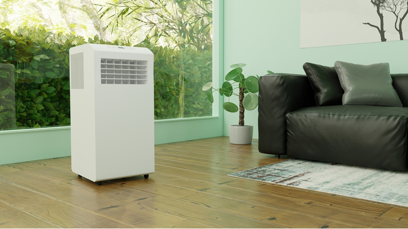 Compressor dehumidifier