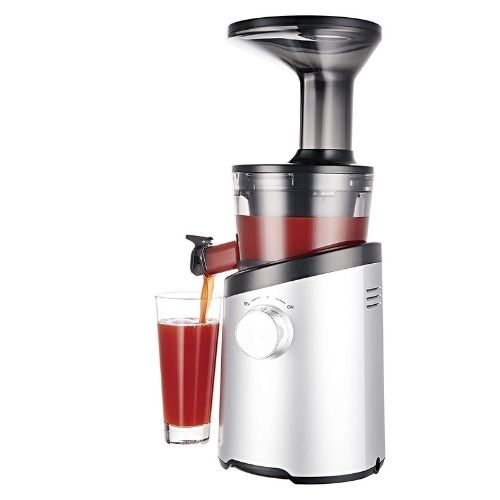 H101 Easy Clean Slow Juicer