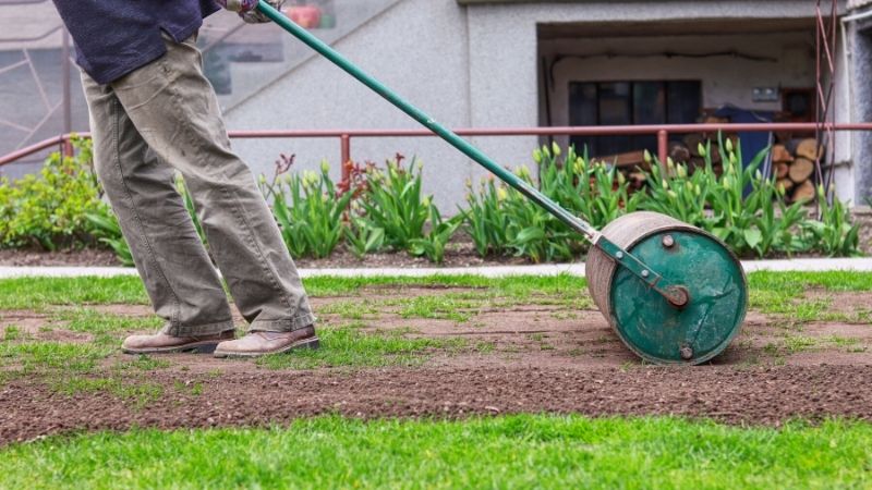 Lawn roller